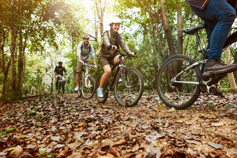 Activités à faire - Saint-Paul-de-Montminy