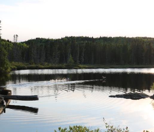 Pêche à la truite - Saint-Paul-de-Montminy Québec