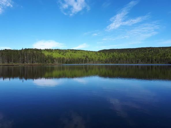 Pêche à la truite - Saint-Paul-de-Montminy Québec