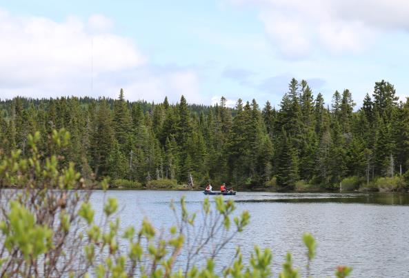 Pêche à la truite - Saint-Paul-de-Montminy Québec